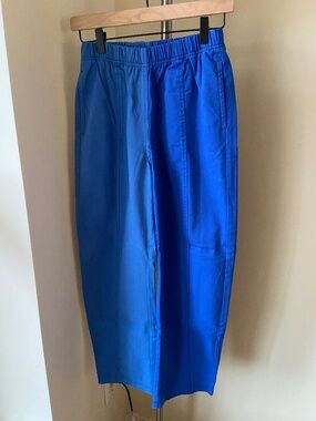 Verity & Daughters NWOT Janus II Pants